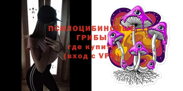 молекула духа Абинск