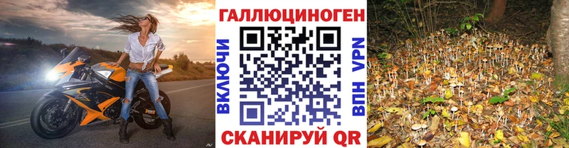 это наркотические препараты  Омск  Галлюциногенные грибы GOLDEN TEACHER  купить закладку 